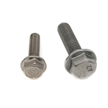 High strength ss304 / ss316 Stainless Steel PTFE / nickel polishing / phosphated gr5 titanium flange Bolt